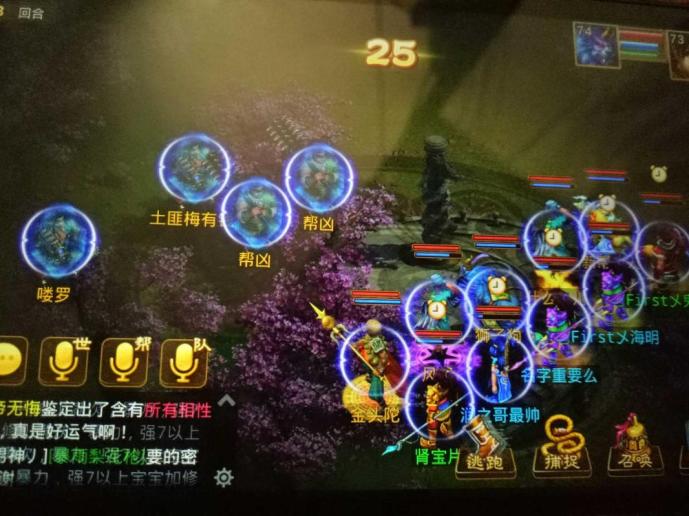 梦幻西游手游伙伴